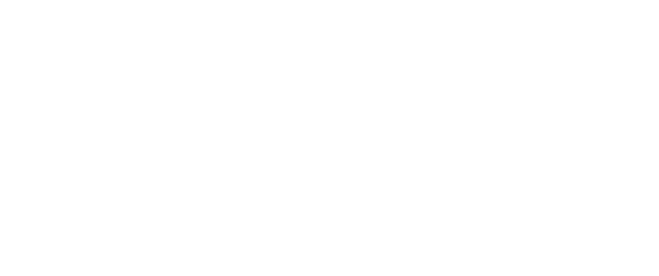 Lewis and Associates