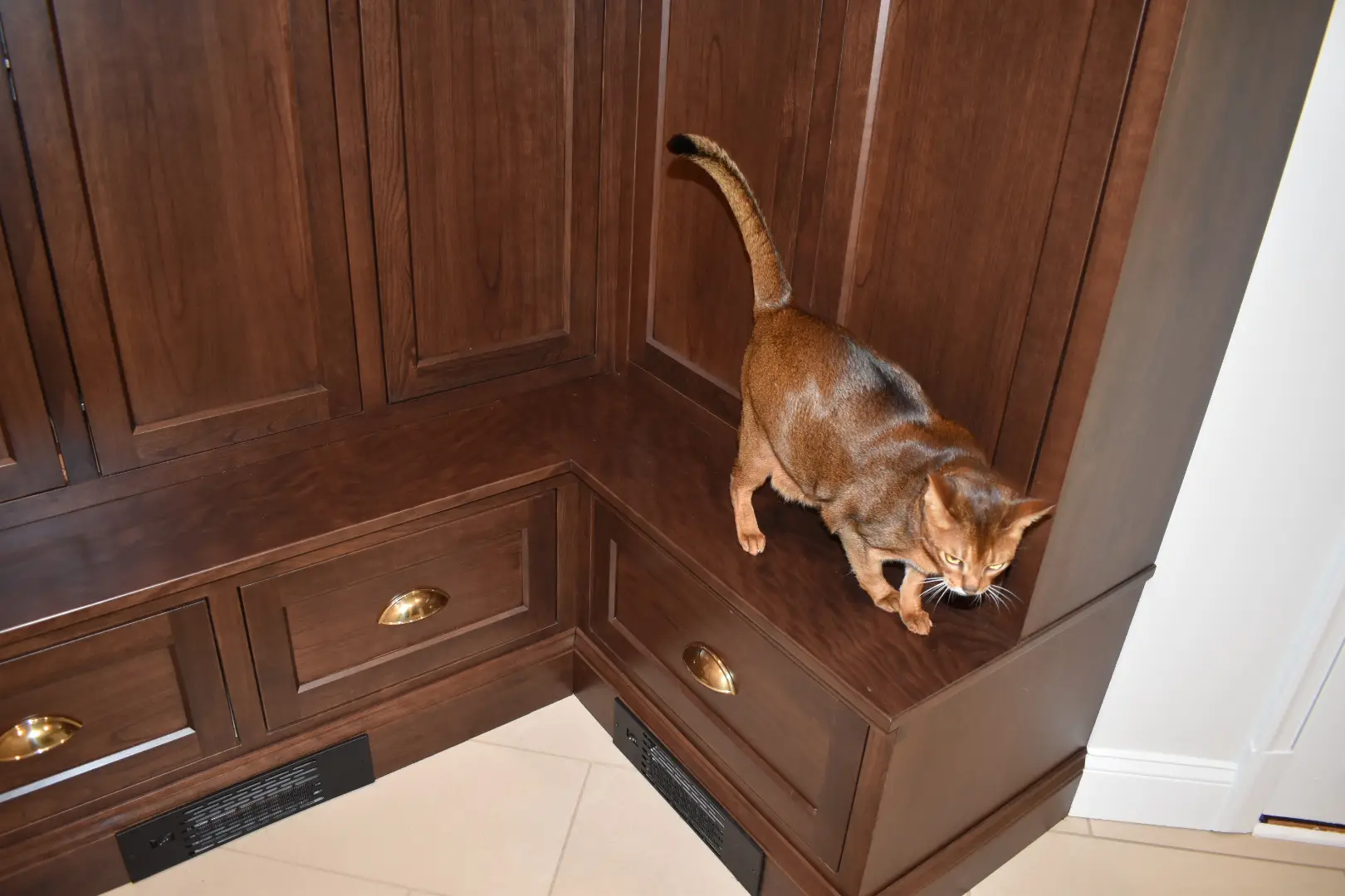 Custom mudroom cabinetry Ellicott City